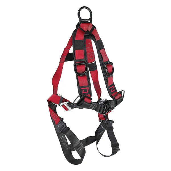 Safety Harness - Fall Arrest 5-Point Adjustment D-Ring FPX1001D Large 1/CS